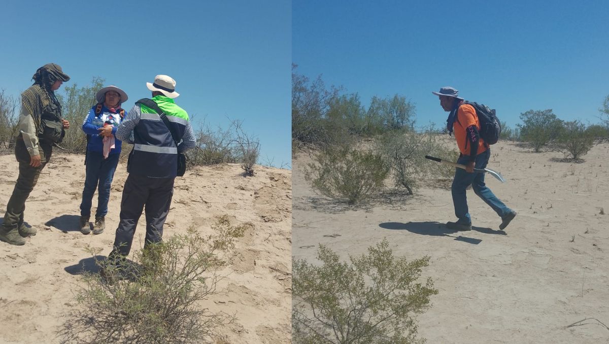 Se llevó a cabo la cuarta búsqueda del 2024. (Especial)