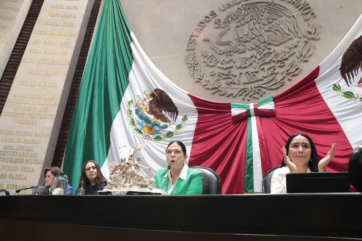 La Cámara de Diputados recibió la presidencia de MIKTA