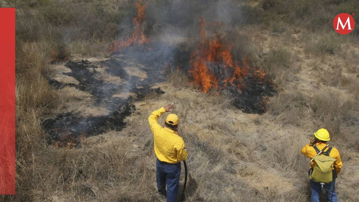 Oaxaca es uno de los estados más afectados por los incendios forestales (Cuartoscuro)