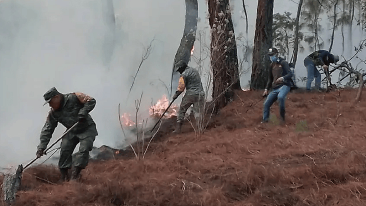 Hallan cuerpo calcinado en Valle de Bravo tras jornada por incendios; estaba atado a un árbol