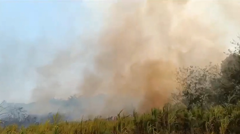 Incendio en Veracruz / Especial
