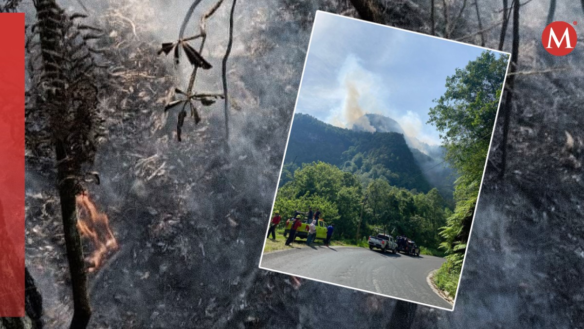 Persiste incendio forestal en Tenango de Doria