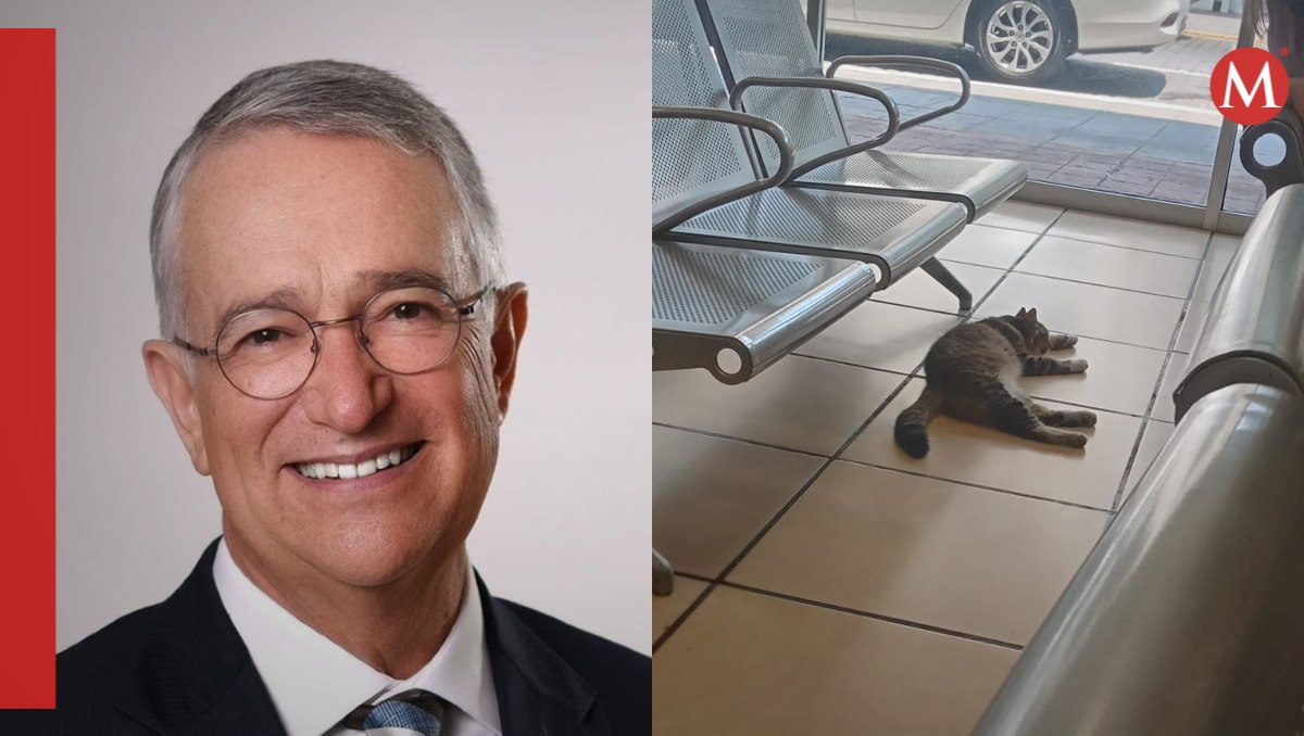 Ricardo Salinas defiende a gatito