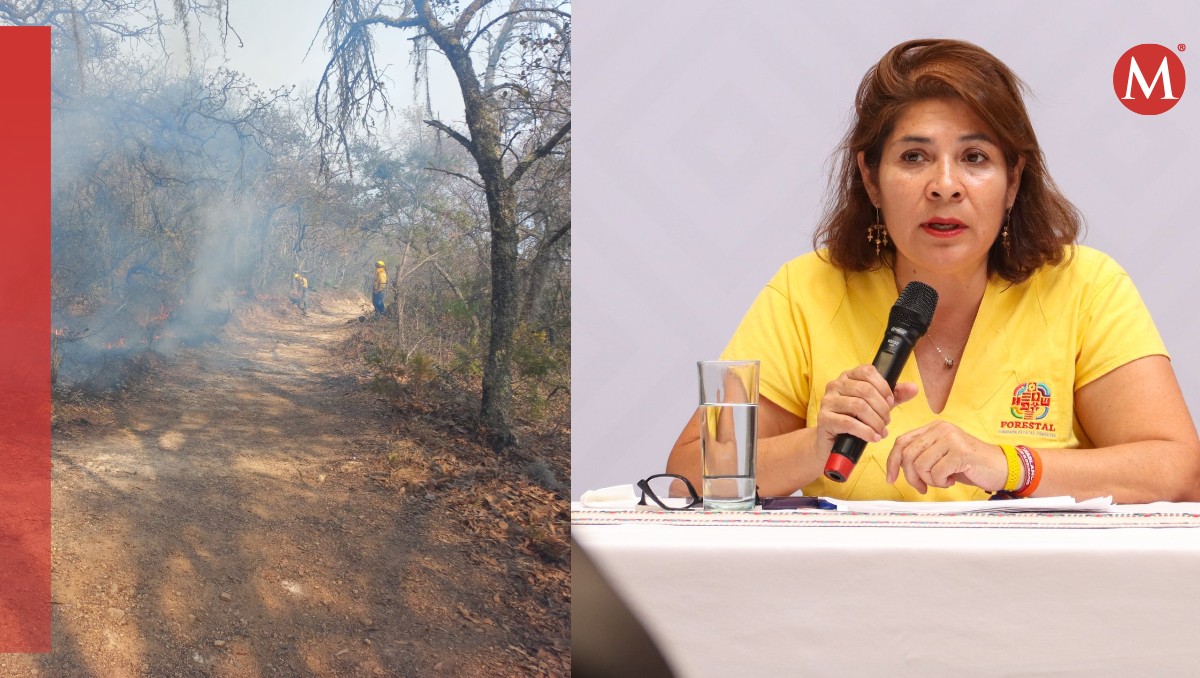 Coesfo informa sobre situación crítica de incendios en Oaxaca | Foto: X. @COESFO_GobOax
