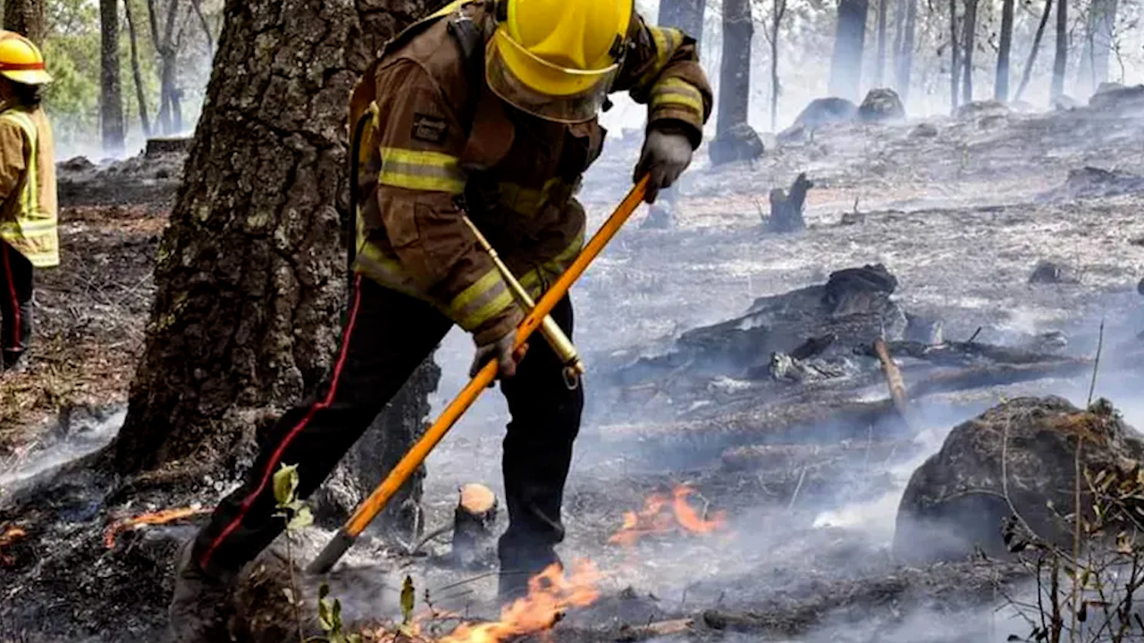 Comisión Nacional Forestal pide a Hacienda 104 mdp para combatir incendios