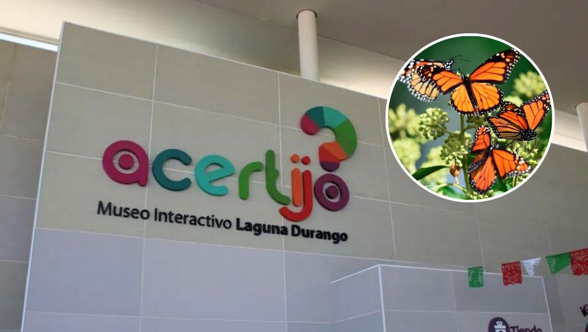 Museo Interactivo El Acertijo en Gómez Palacio. | Especial