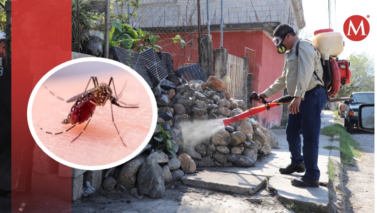 Se incrementan casos de dengue hasta un 60 por ciento en Altamira
