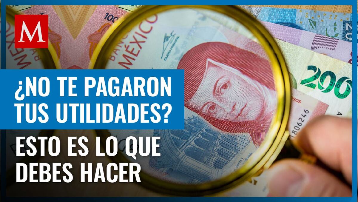 Si después del plazo establecido no te pagan las utilidades, esto es lo que debes hacer
