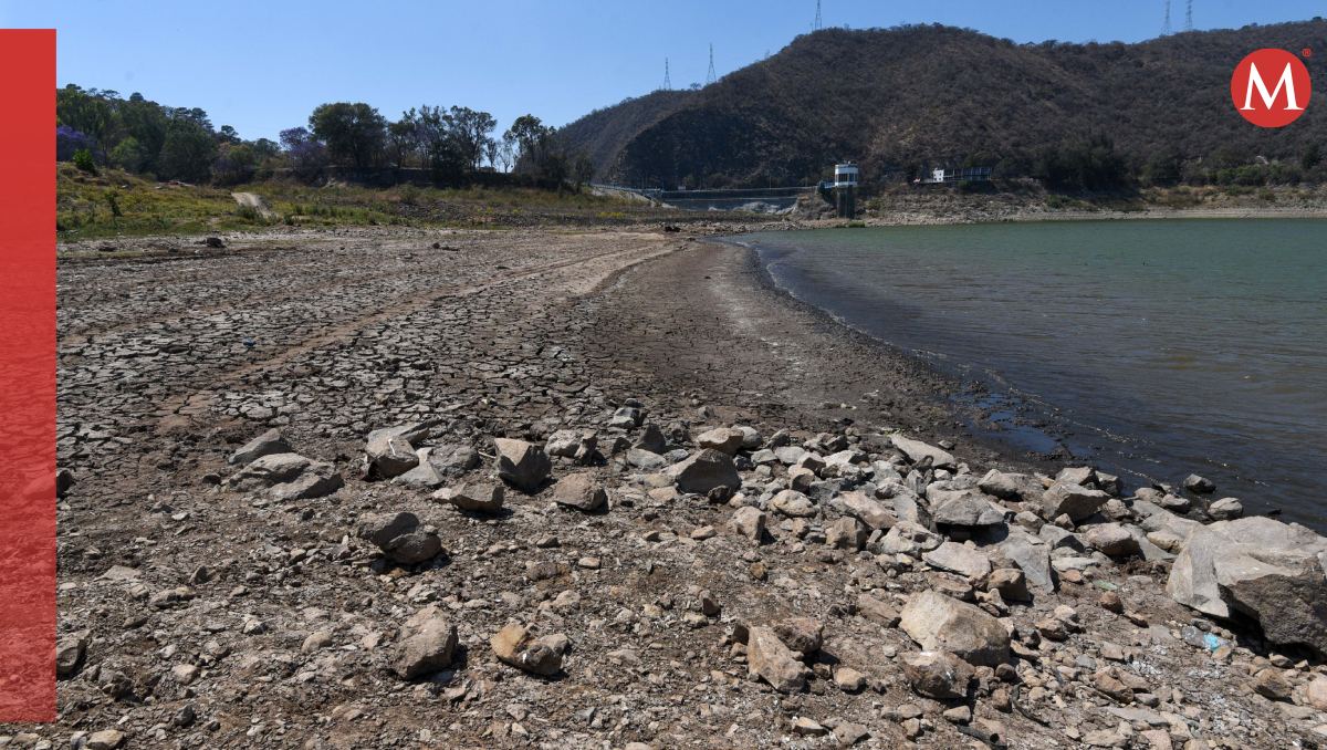 Las tendencias ven proyecciones alentadoras para junio. (Foto: Cuartoscuro)