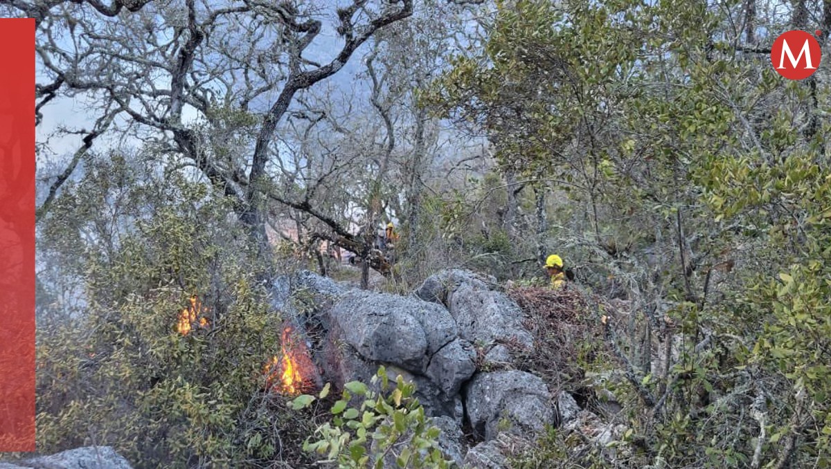 Incendios forestales en Oaxaca: rescatan a comuneros y continúa la lucha contra el fuego | Foto: X. @COESFO_GobOax