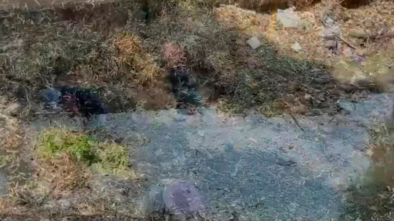 Reportan sequía en ríos y arroyos en San Cristóbal de las Casas por falta de lluvias