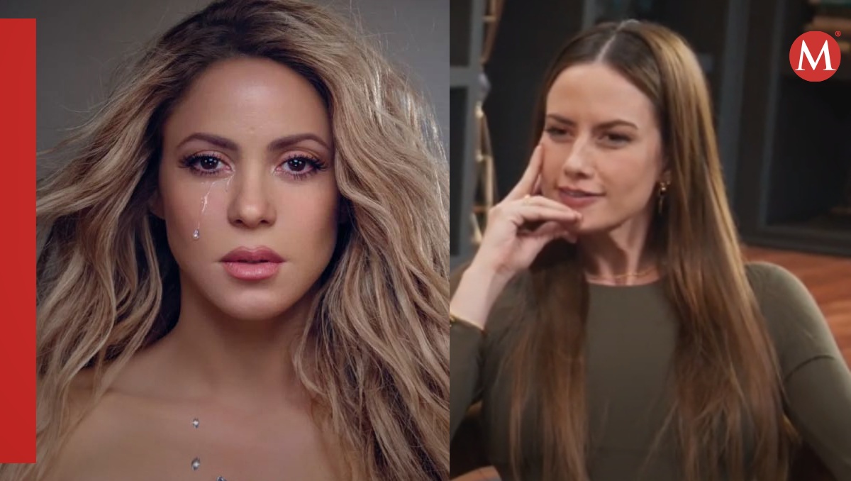 El video se volvió viral en TikTok / Especial