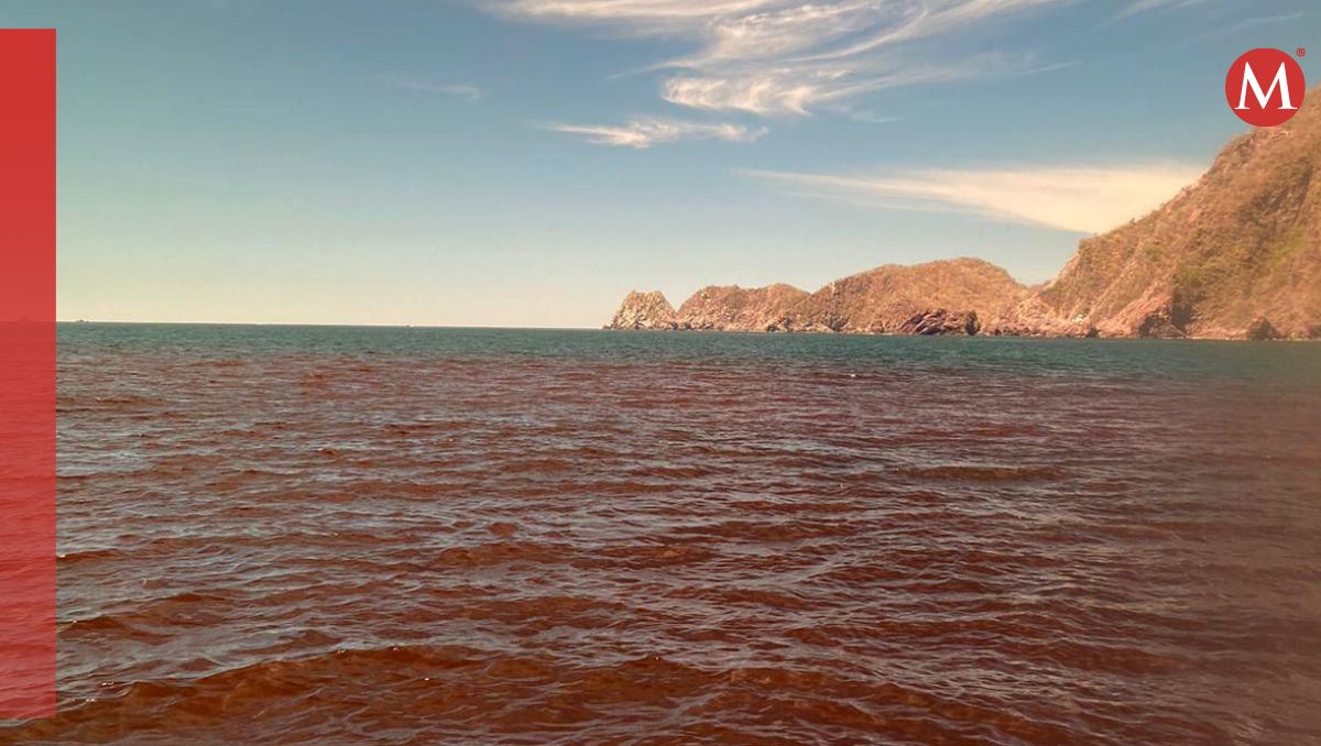 Marea roja en Colima. (Foto: Especial)