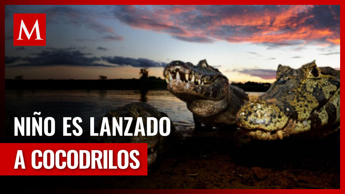 Padres enfrentan cargos por la muerte del niño en manos de cocodrilos
