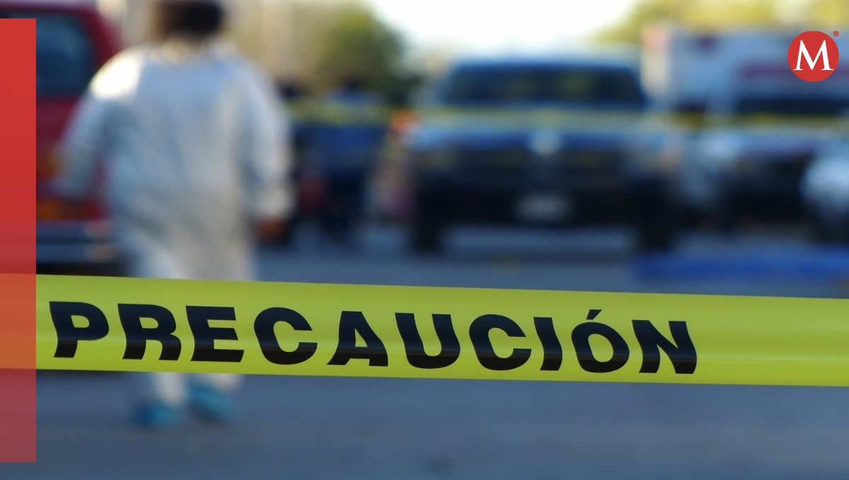 Perro pasea con cráneo en su hocico por Bosques de Santa Anita, Puebla | Archivo Milenio