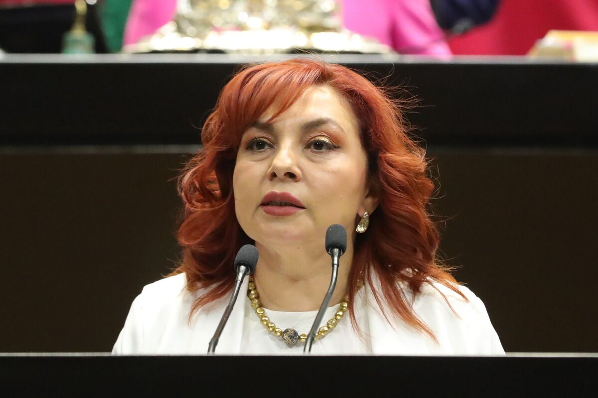 María Teresa Madrigal Alaniz, diputada del PRD | Especial