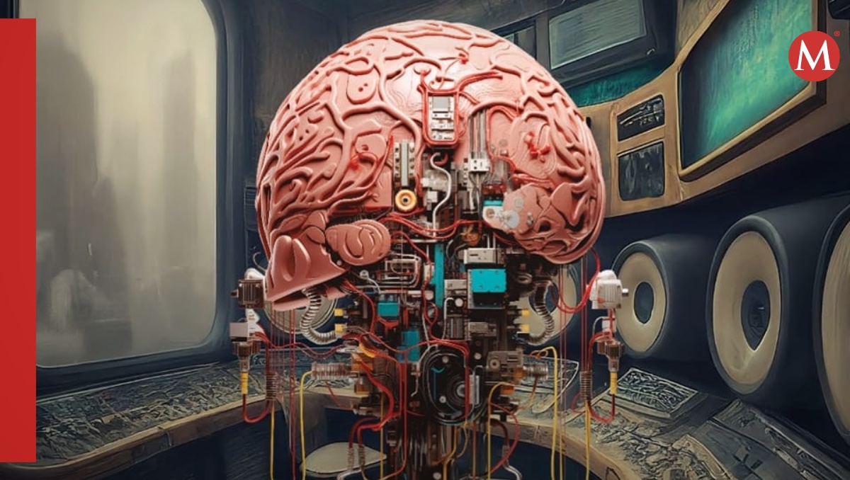 Es posible reconstruir una imagen vista a partir de la actividad del córtex visual | X