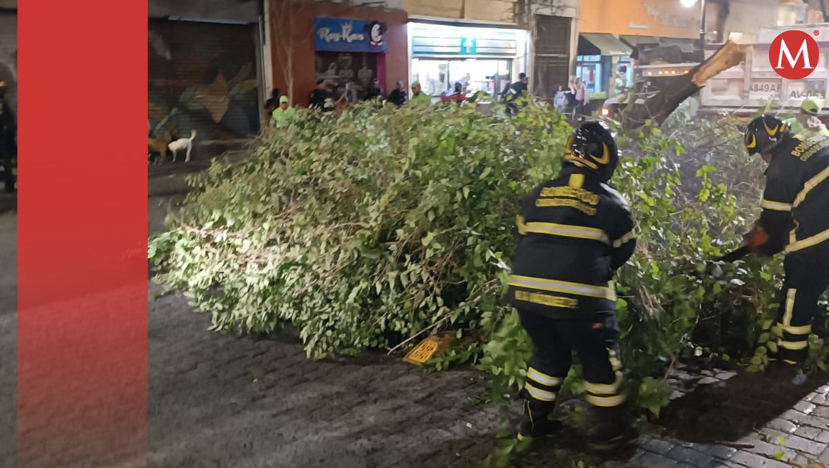 Los bomberos atendieron la caída de varios árboles alrededor de la ciudad. | @Bomberos_CDMX