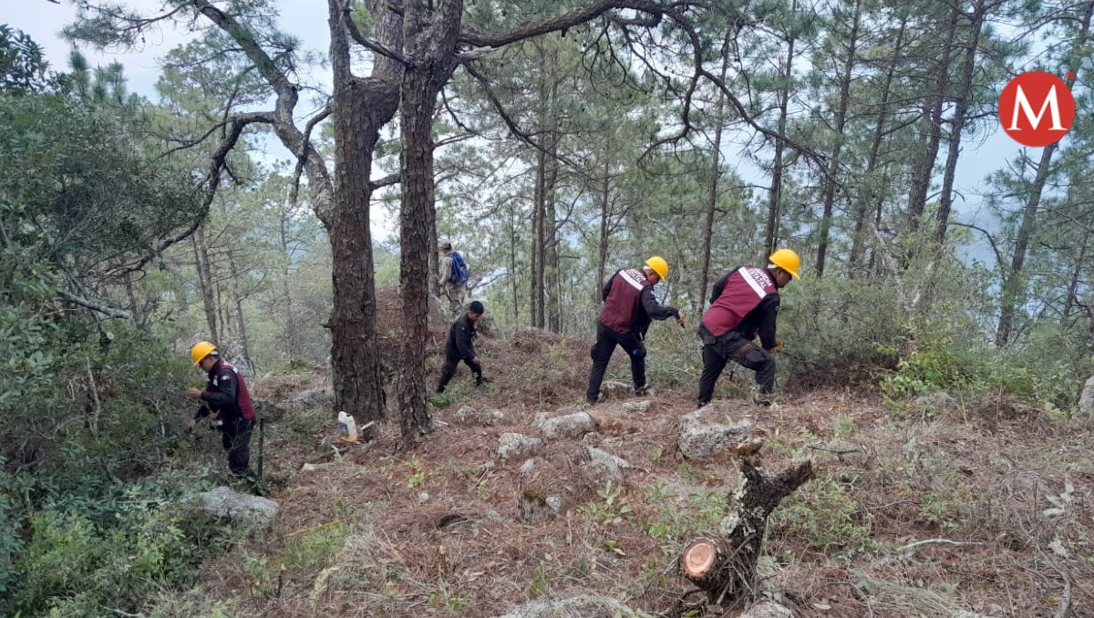 Incendio forestal en Cañón de Novillo en Ciudad Victoria.