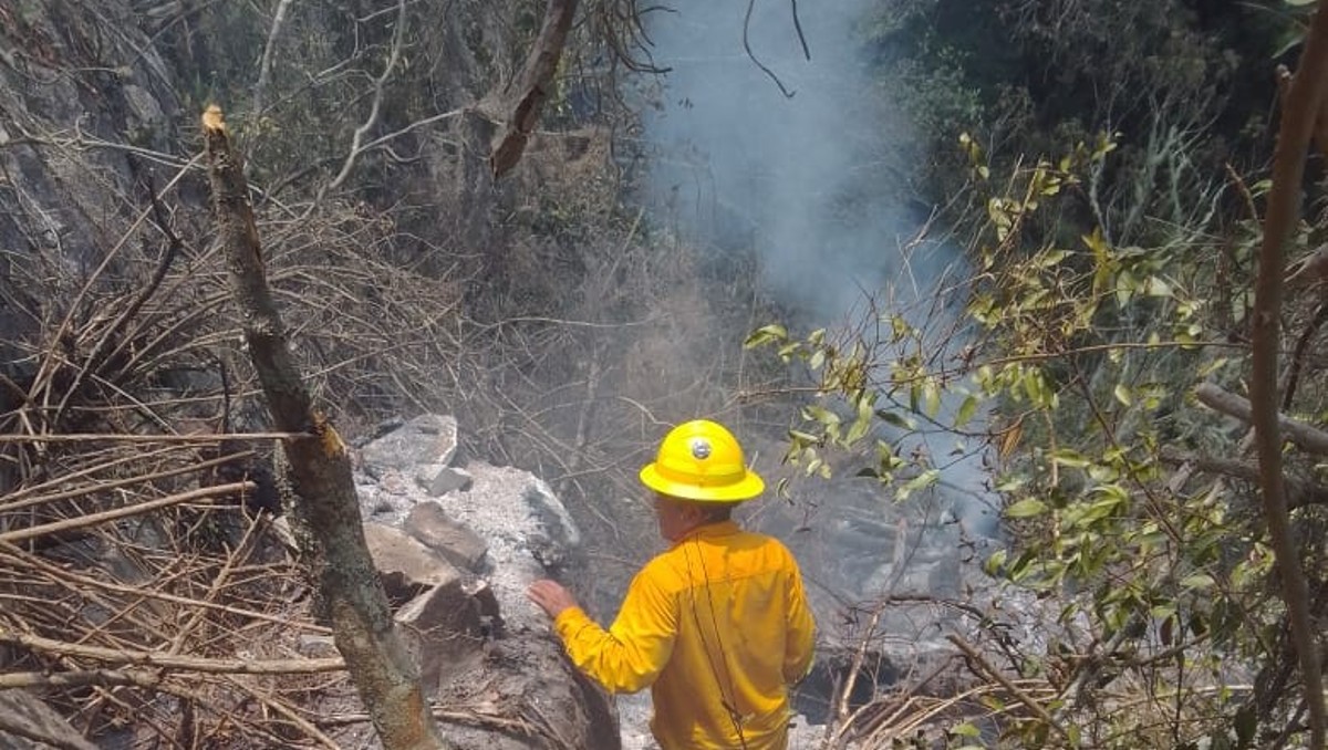 Incendio forestal en el Cañón del Novillo
