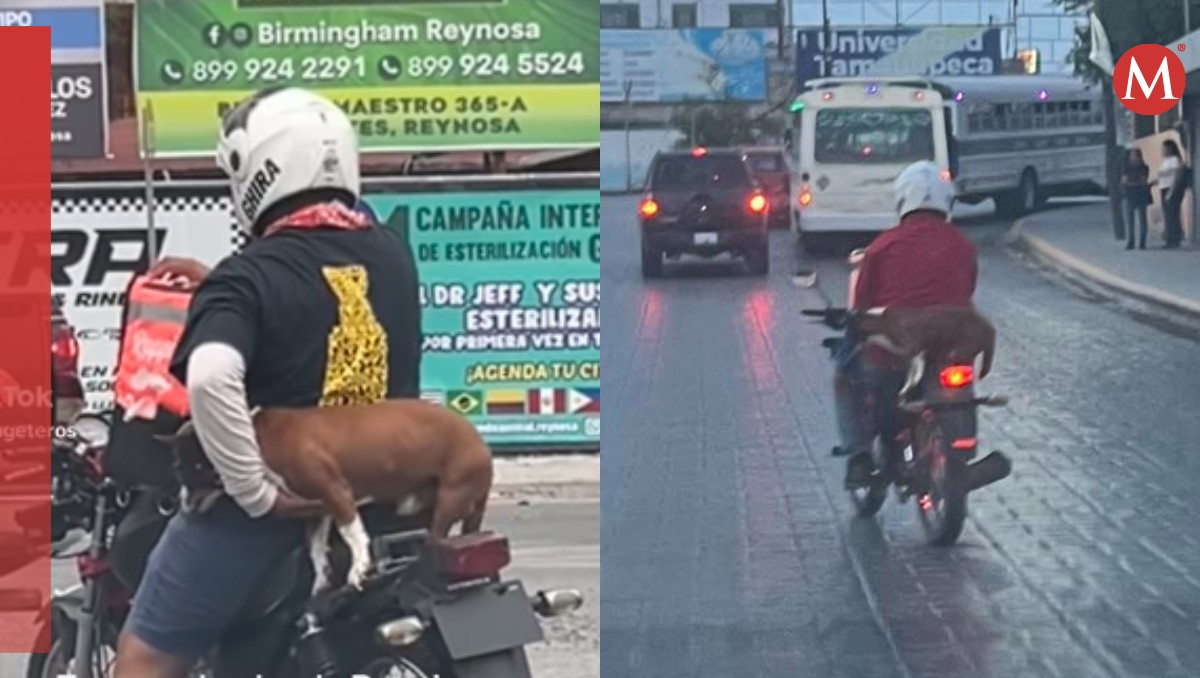 Graban a repartidor de comida y su perro en Motocicleta en Reynosa