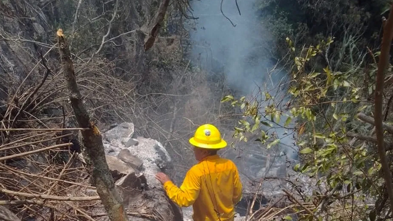 Incendio forestal en sierra de Ciudad Victoria cumple una semana; se ha controlado un 35%
