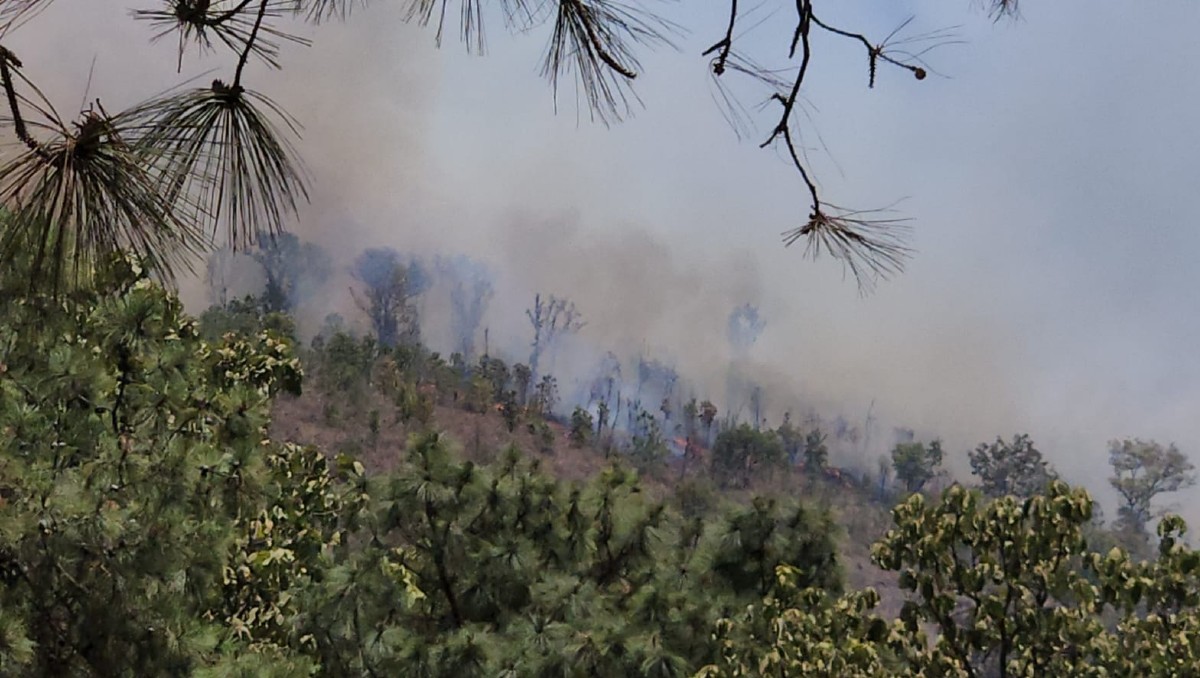 Así se ve el incendio en el predio Las Tinajitas en el bosque La Primavera (Juan Carlos Munguía)