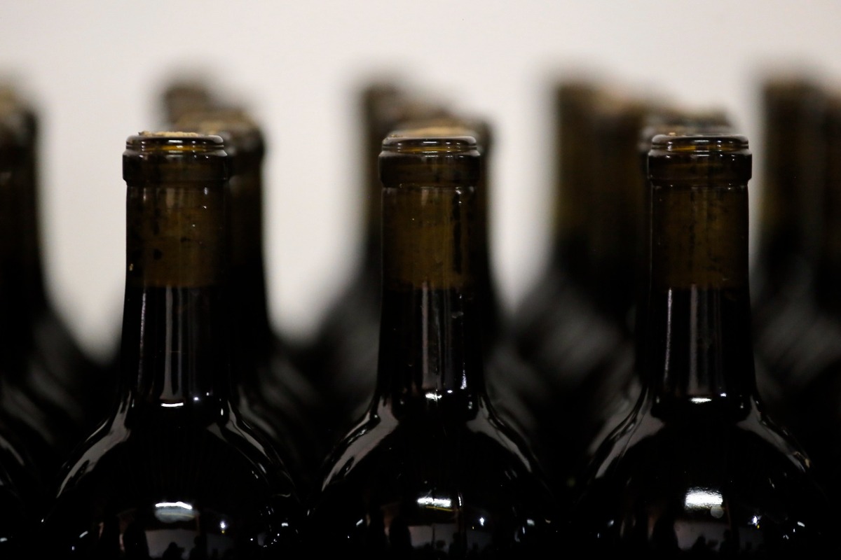 Para el año 2025, la ciudad de Torreón se sumará a la Ruta Vinos y Dinos. | Archivo