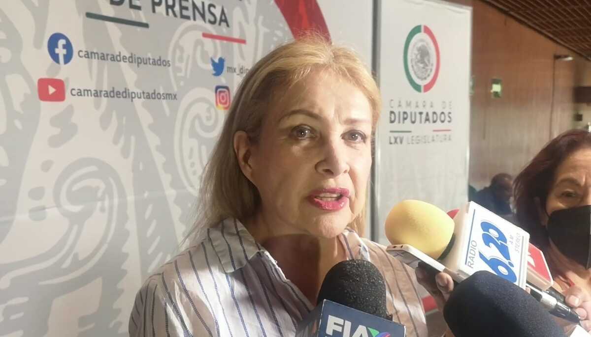 Diputada Gabriela Sodi en conferencia | Fernando Damián