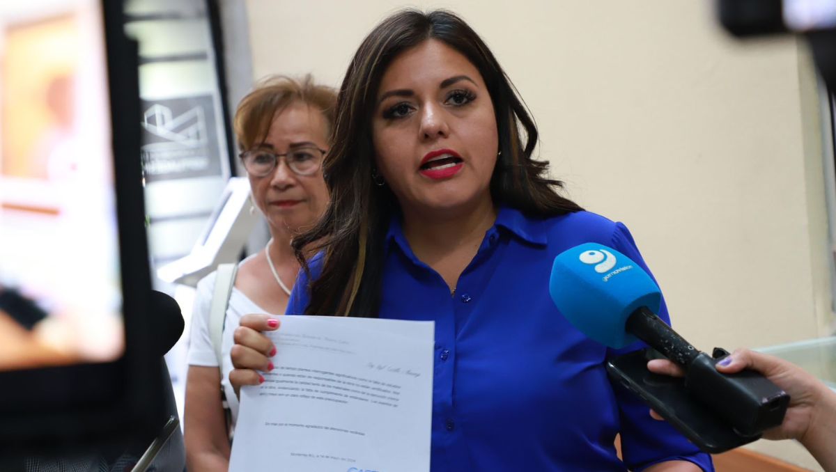 Itzel Castillo Almanza, diputada local del PAN | Especial