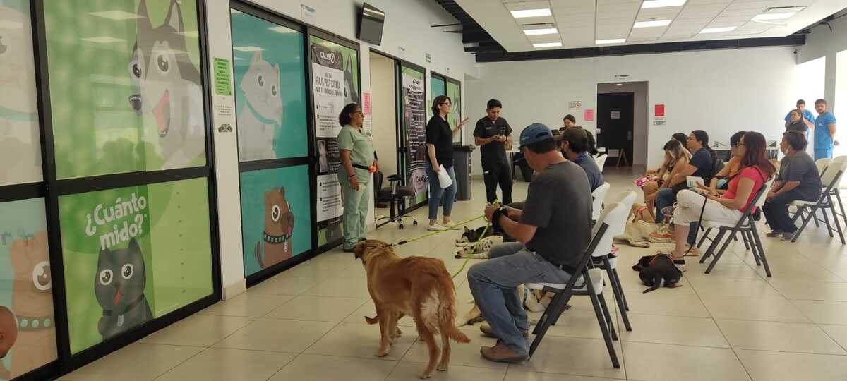 Esterilización masiva, en el CISAZ Zapopan. (Andrea Manzo)