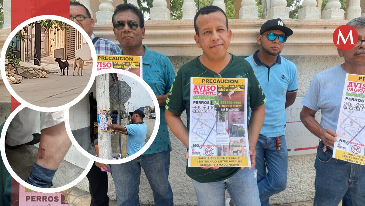 Ataques de perros causan graves heridas a colonos de Ciudad Madero