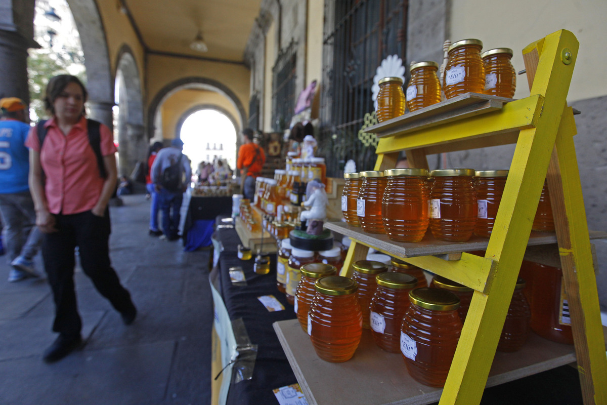 Centro histórico de Guadalajara recibe la primera edición de la Feria de la Miel (Fernando Carranza)