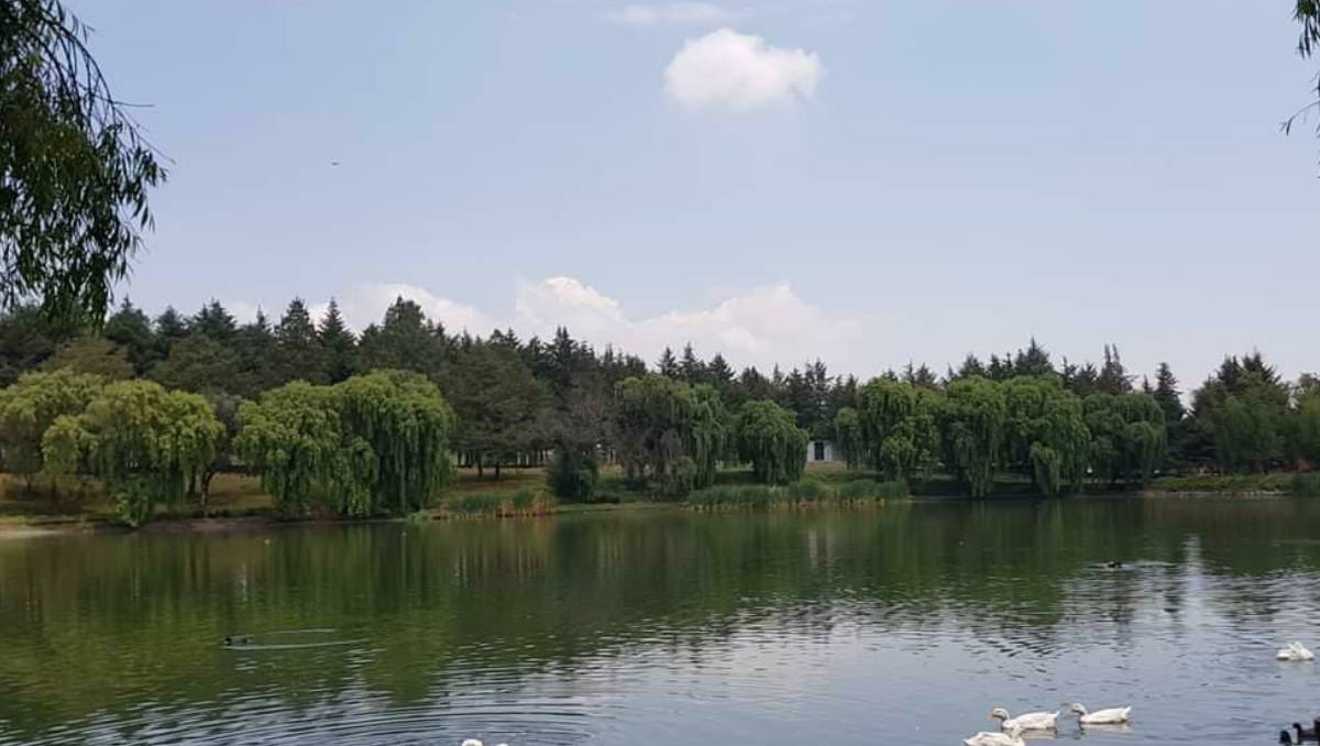 Parque Estatal Alameda 2000 es una Área Natural Protegida, Recreativa y Cultural| Especial