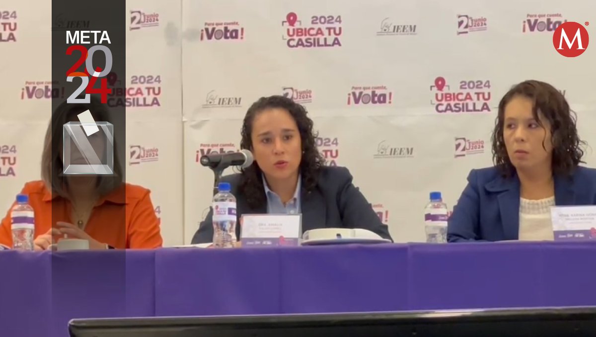 Amalia Pulido, consejera presidenta del IEEM. Foto: (Especial)