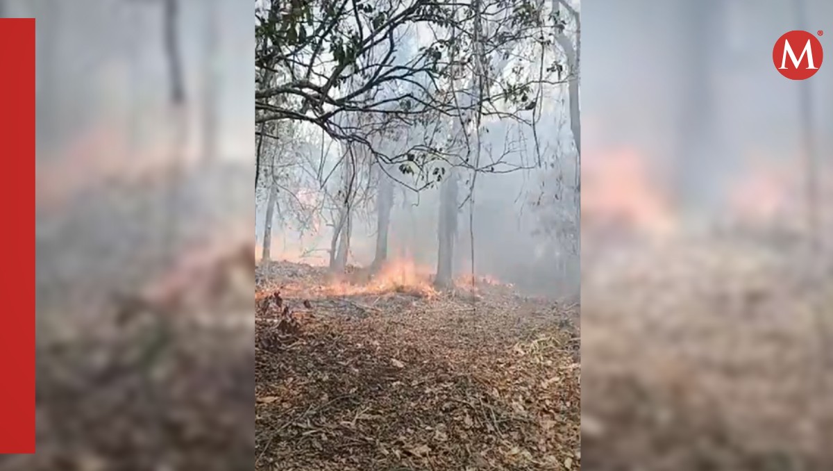 Incendio en El Cielo, Tamaulipas. (Especial)