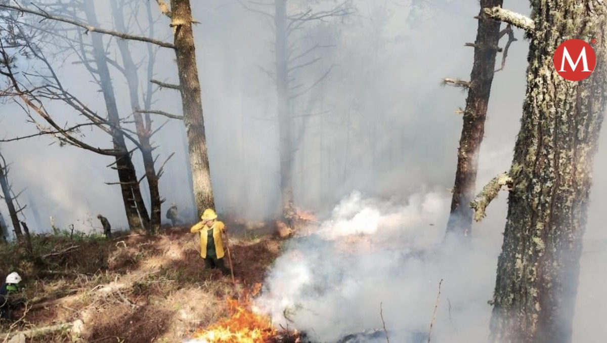 Incendio forestal en sierra de Tamaulipas.