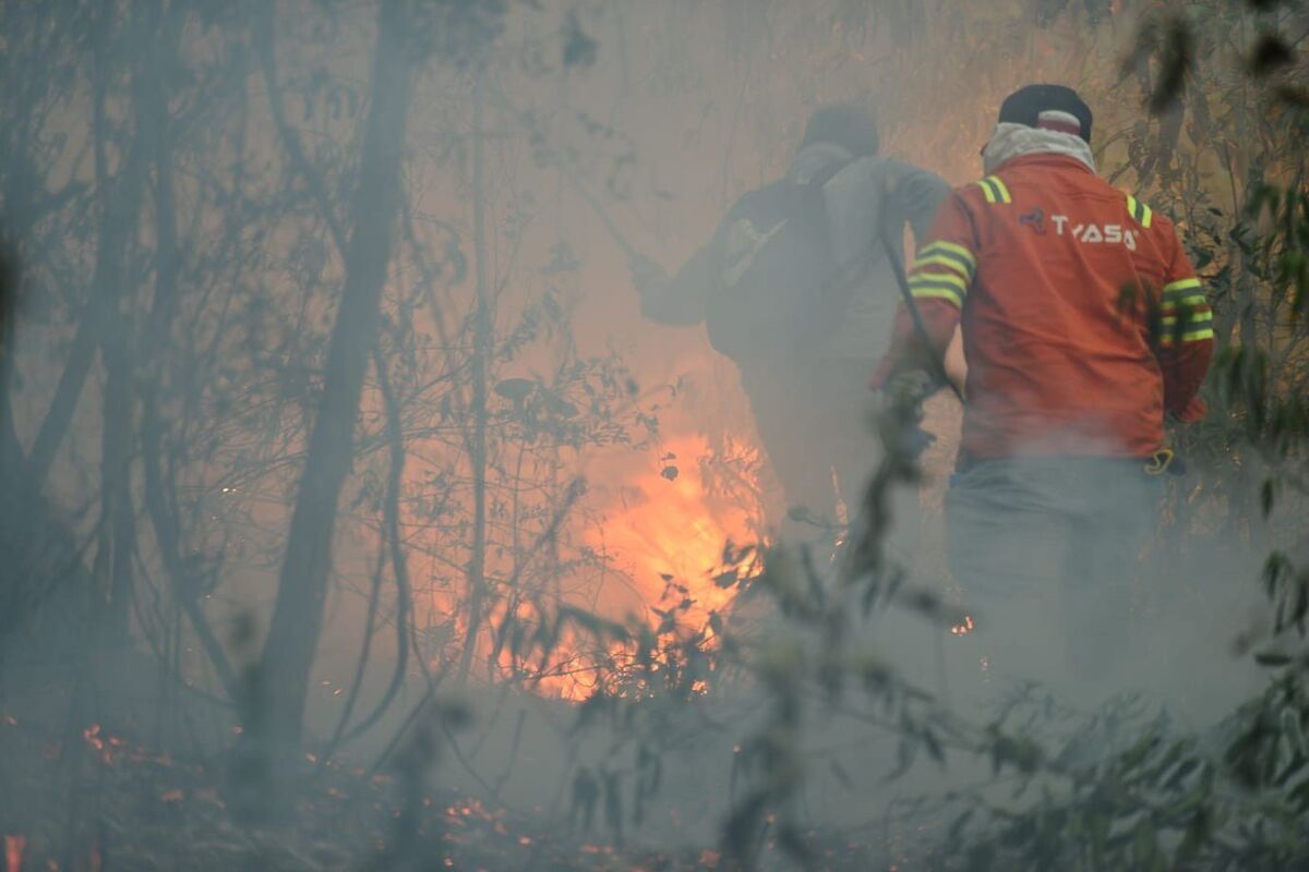 Bomberos de Veracruz combaten más incendios en cinco meses que en todo el año pasado | Cuartoscuro
