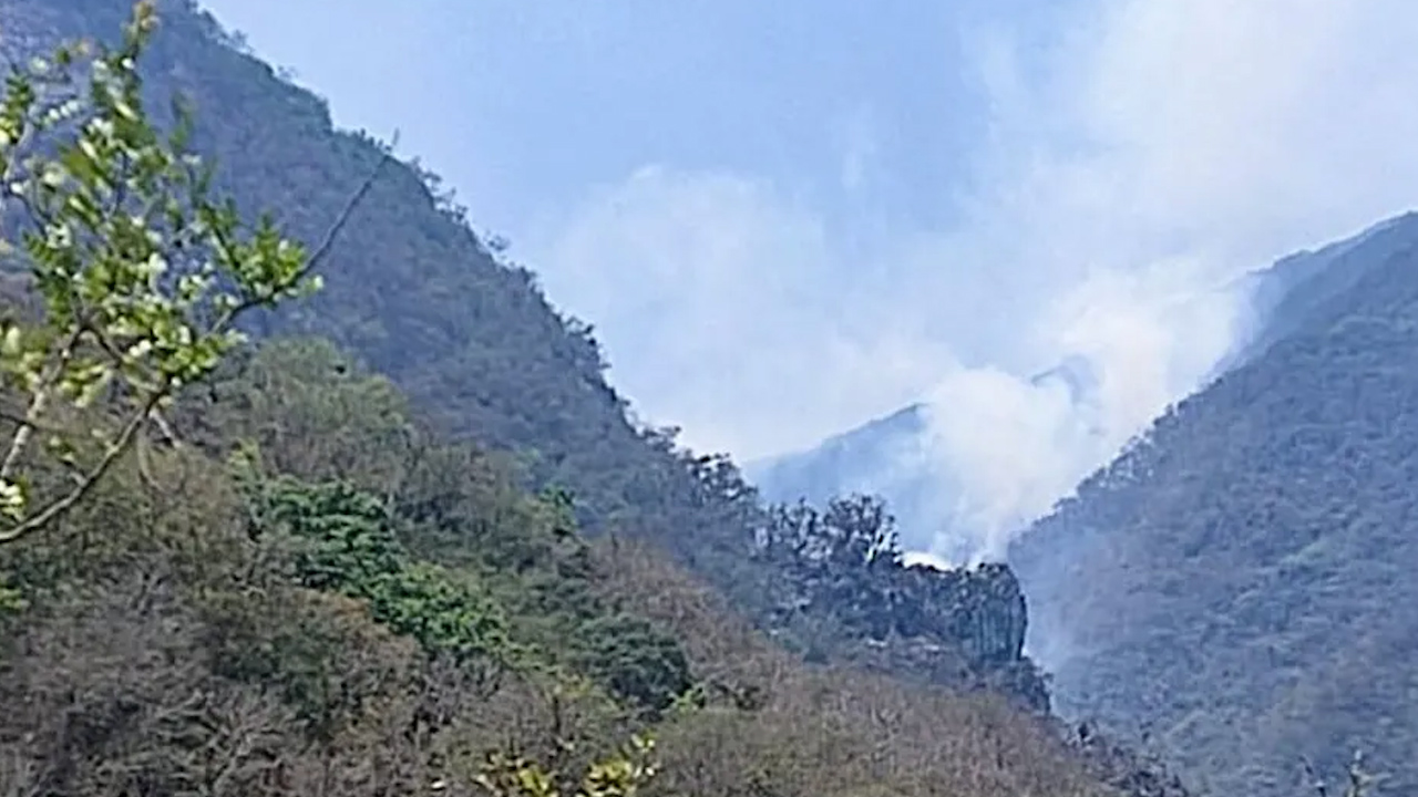 Hay cinco incendios forestales activos en Campeche, se han registrado 19 en 2024