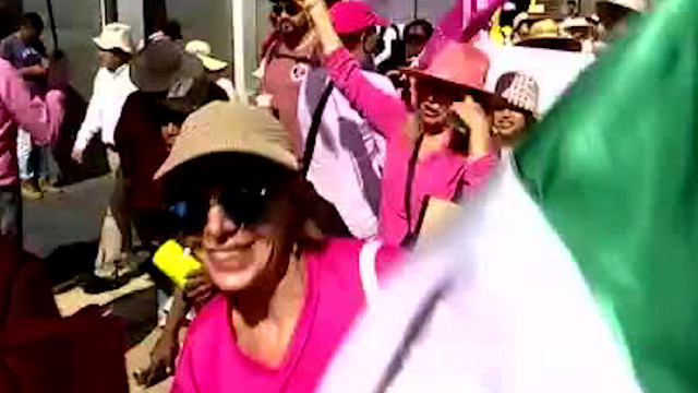 INE investigará los gastos en la marcha de la oposición "Marea Rosa"