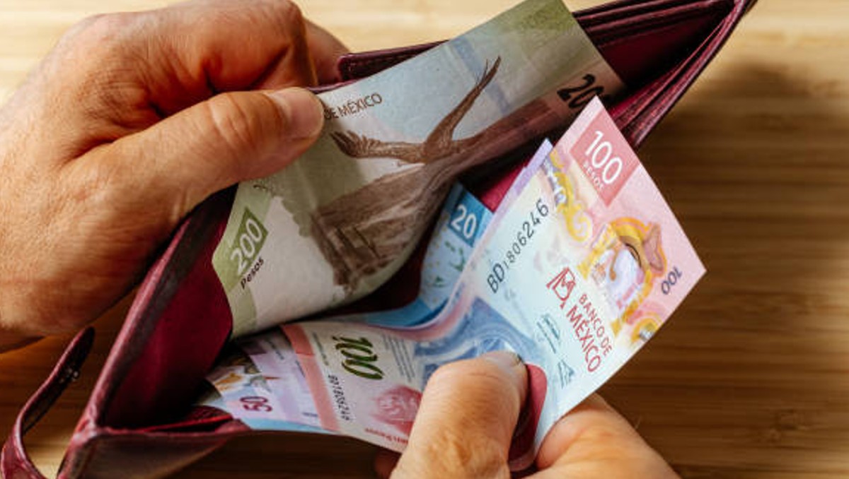 La Profedet puede dar asesoramiento jurídico si tu empresa no te paga las utilidades/ Pixabay