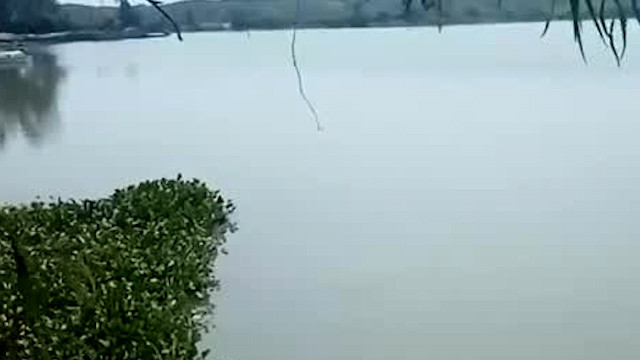 Suspenden el permiso de extracción de agua en la Cuenca Guayalejo, Tamaulipas