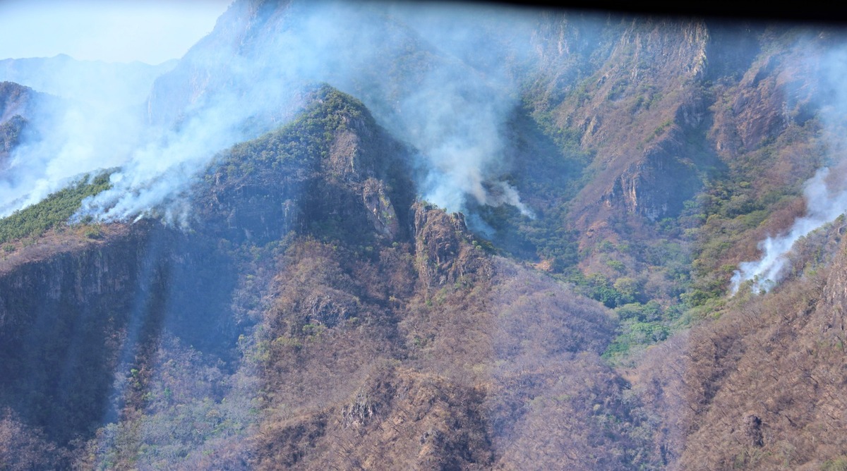 Incendio forestal en la zona montañosa de Elota en Sinaloa / Especial