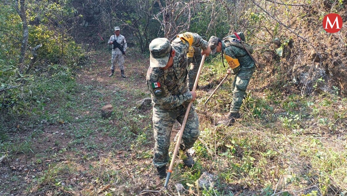 Logran sofocar incendio forestal en sierra de Tamaulipas