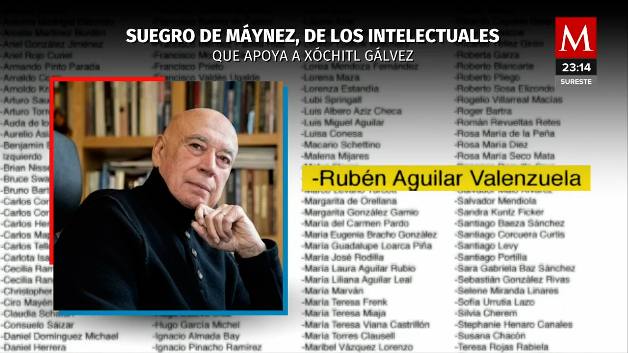 Rubén Aguilar Valenzuela, Exvocero de Vicente