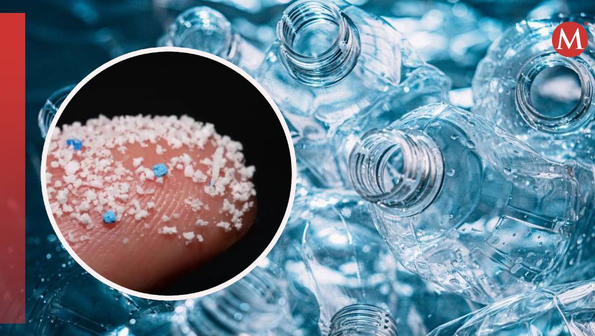 Los microplásticos tienen metales tóxicos que pueden provocar varias afecciones en el cuerpo humano | MILENIO