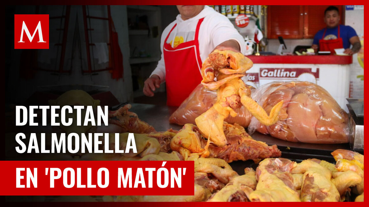 Salmonella en 'Pollo Matón' de Escobedo, NL: todo lo que necesitas saber