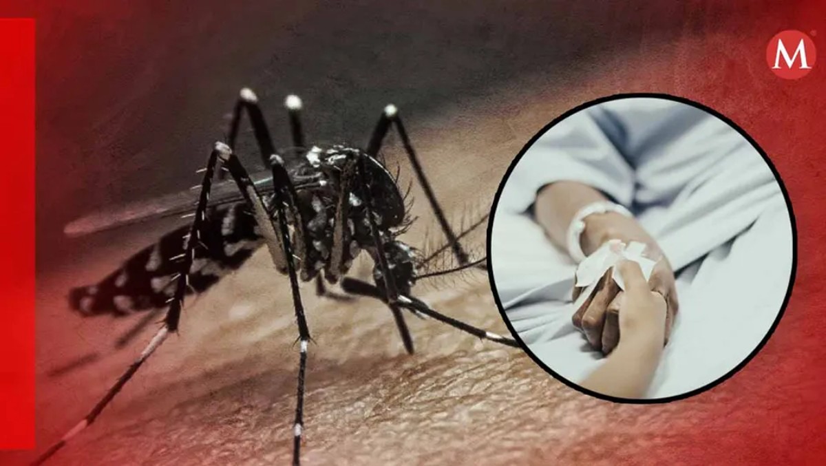 Dengue en sur de Tamaulipas rebasa los 100 pacientes