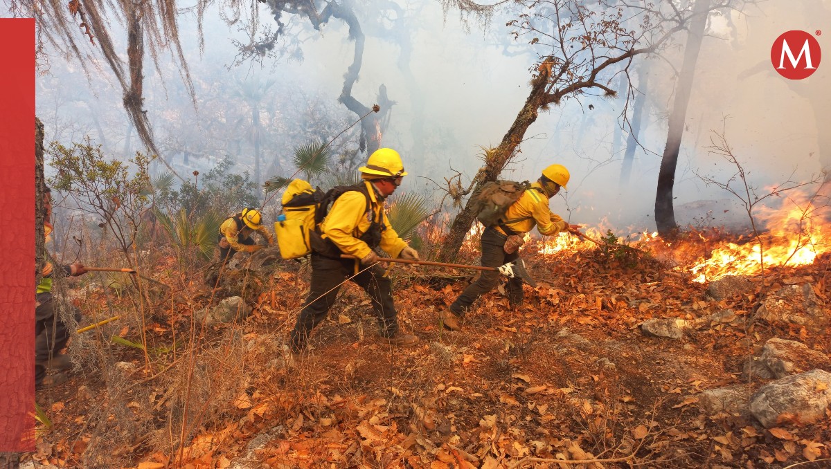 Incendios forestales activos en Oaxaca: Carretera cerrada por seguridad | Especial