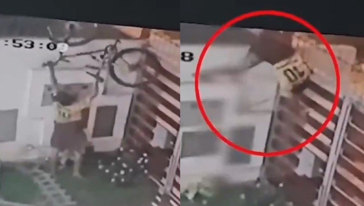 Muere ladrón en Perú. | Capturas